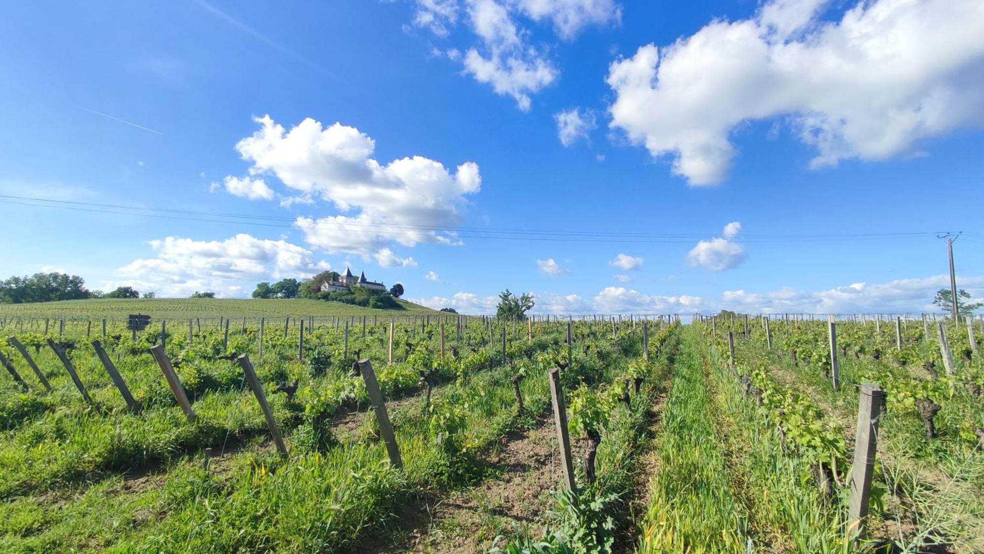 Maison Charmeilles - La Suite Pomerol Fronsac (Gironde) Exterior foto